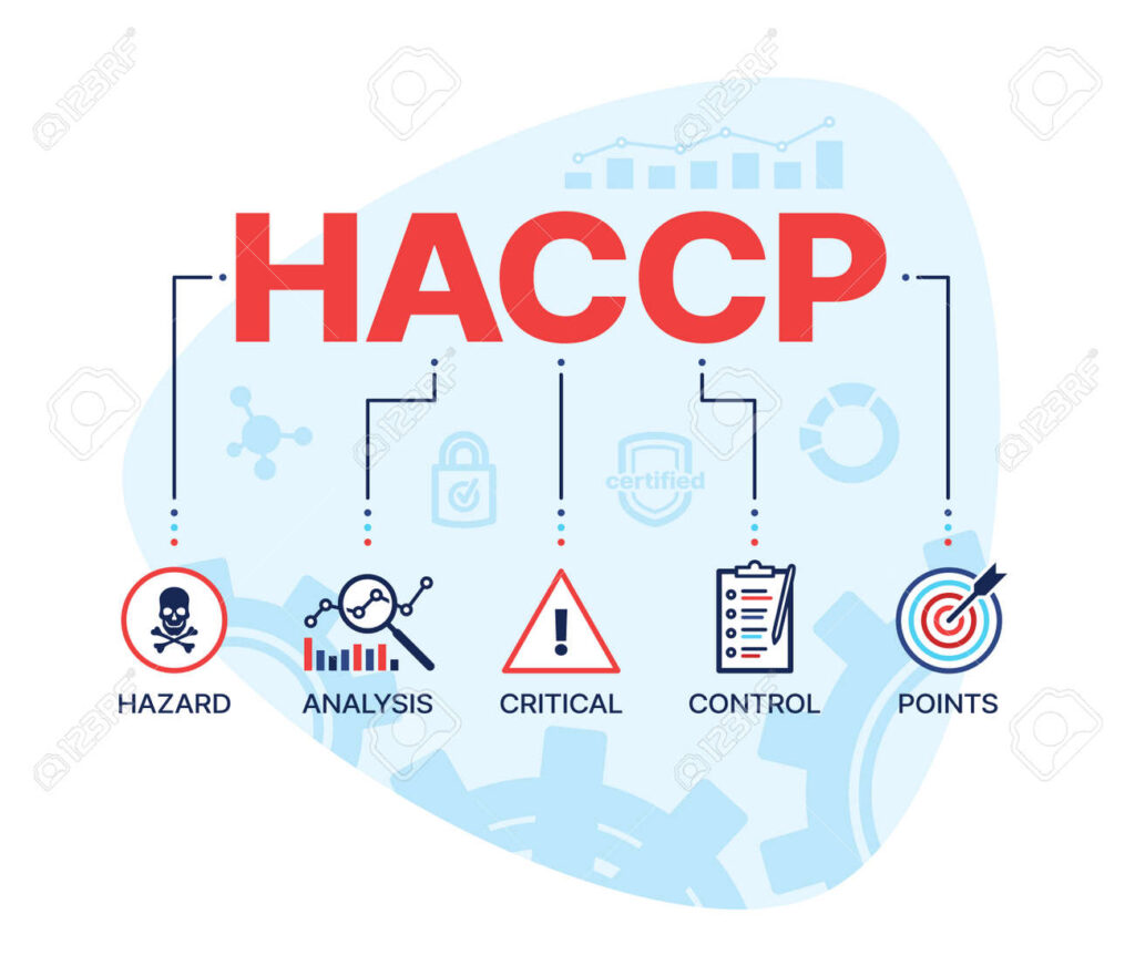 179318144 haccp hazard analysis and critical control points vector concept food safety inspection